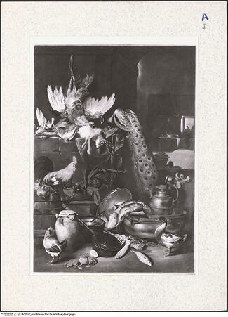 Vorderseite von bh329637_recto