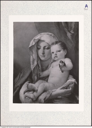 Vorderseite von Kress Foundation [https://www.deutsche-digitale-bibliothek.de/content/lizenzen/rv-fz/] Madonna mit dem Stieglitz - Gesamtansicht ohne Rahmen, bh329675_recto. Foto.