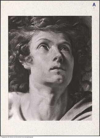 Vorderseite von bh329692_recto