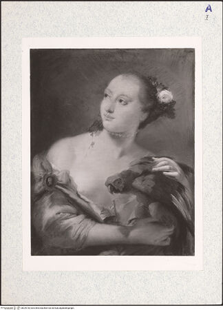 Vorderseite von bh329728_recto