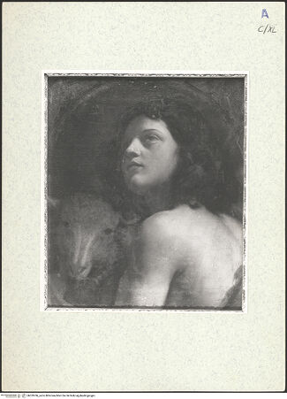 Vorderseite von bh329786_recto