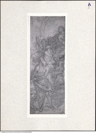 Vorderseite von bh329885_recto