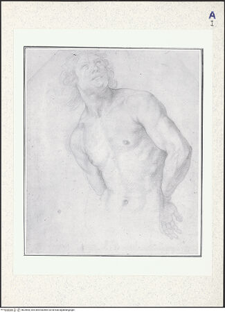 Vorderseite von bh329890_recto