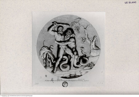 Vorderseite von Landesbildstelle Rheinland [http://creativecommons.org/publicdomain/mark/1.0/] 'Herculis Labores'Hercules besiegt den schlangenfüßigen Giganten - , bh330006. Foto.