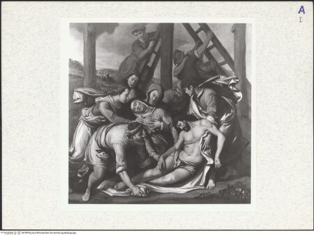 Vorderseite von bh330036_recto