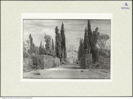 Vorderseite von bh330097_recto