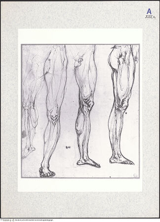 Vorderseite von bh330678_recto