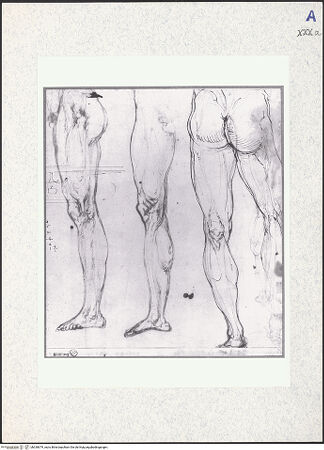 Vorderseite von bh330679_recto