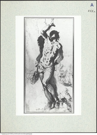 Vorderseite von bh330682_recto