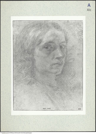 Vorderseite von bh330683_recto