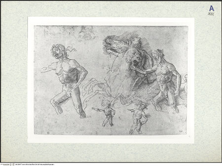 Vorderseite von bh330697_recto