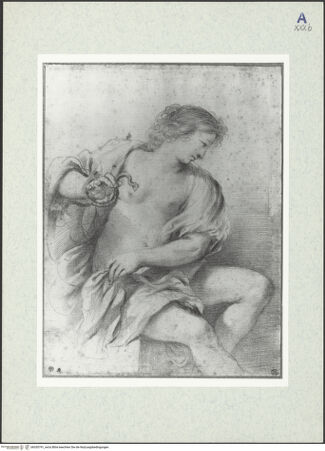 Vorderseite von bh330791_recto