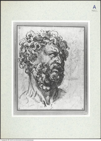 Vorderseite von bh330795_recto