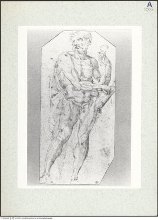 Vorderseite von bh330801_recto