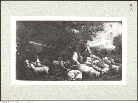 Vorderseite von bh330937_recto