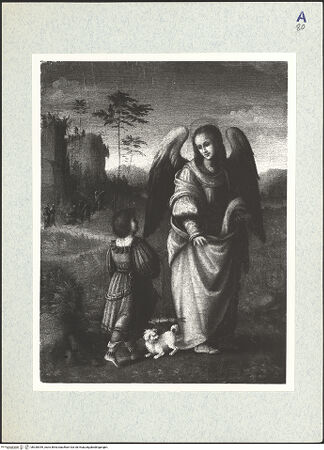 Vorderseite von bh330949_recto