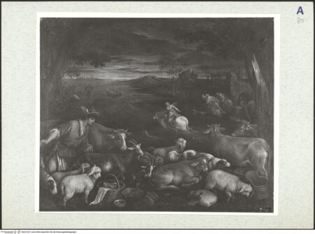 Vorderseite von bh331027_recto