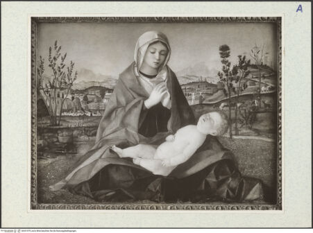 Vorderseite von bh331079_recto