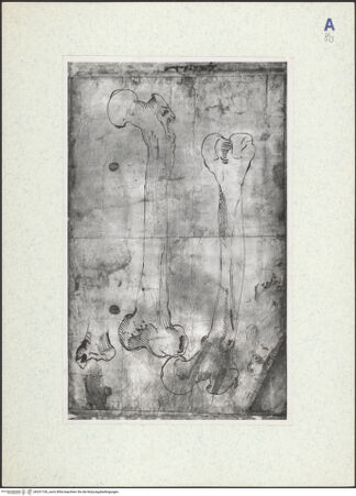 Vorderseite von bh331106_recto