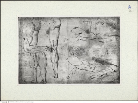 Vorderseite von bh331107_recto