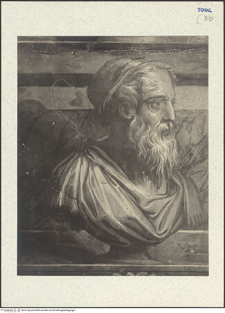 Vorderseite von Alinari [http://creativecommons.org/publicdomain/mark/1.0/] AusmalungLegende des Nikolaus von Bari - Szene aus dem Leben des heiligen Nikolaus von Bari (Almosenspende?), bh331144_recto. Foto.