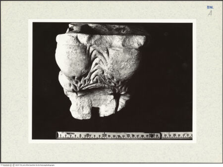 Vorderseite von bh331156_recto