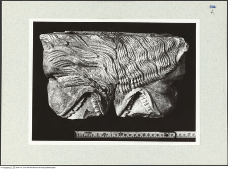 Vorderseite von bh331169_recto