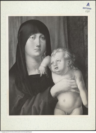 Vorderseite von bh331238_recto