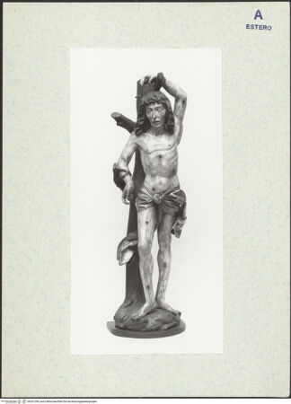 Vorderseite von bh331294_recto