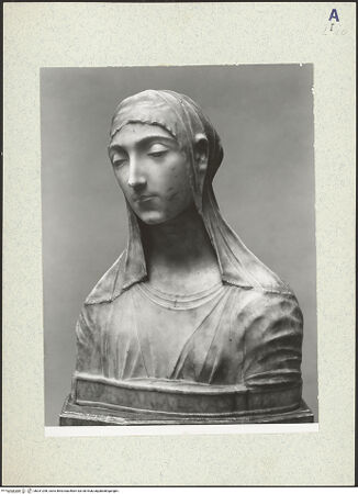 Vorderseite von bh331298_recto