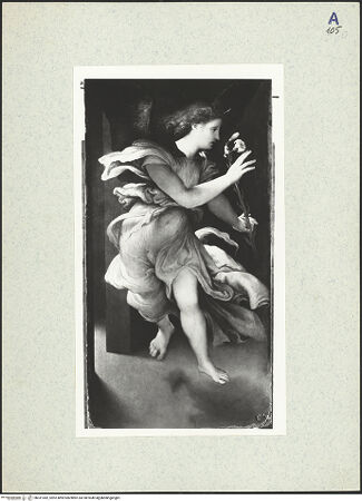 Vorderseite von bh331382_recto