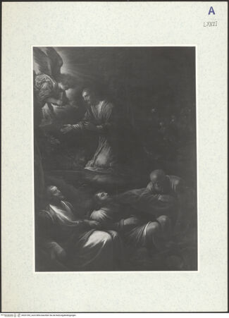 Vorderseite von bh331392_recto