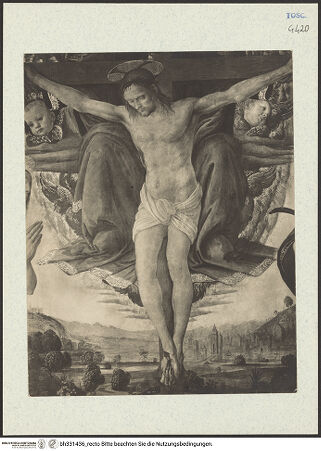 Vorderseite von bh331436_recto