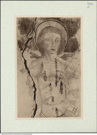 Vorderseite von bh331457_recto