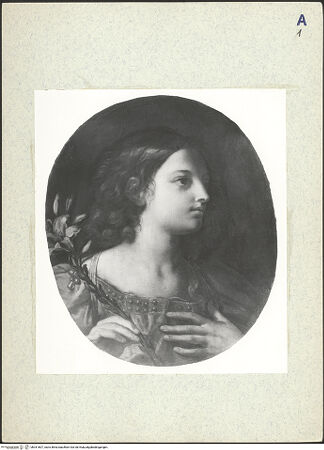 Vorderseite von bh331807_recto