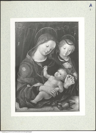 Vorderseite von bh331813_recto