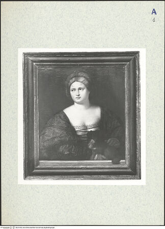 Vorderseite von bh331843_recto