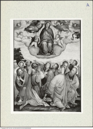 Vorderseite von bh331861_recto