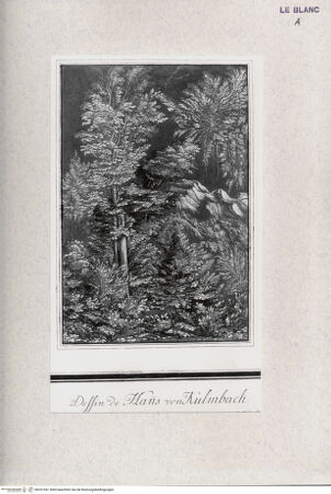 Vorderseite von Landesbildstelle Rheinland [http://creativecommons.org/publicdomain/mark/1.0/] Berglandschaft (Cab. Praun) - , bh331941. Foto.