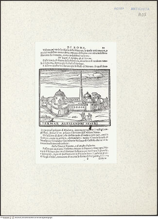 Vorderseite von bh332439_recto