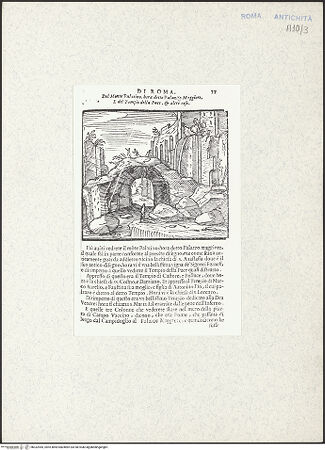 Vorderseite von bh332444_recto