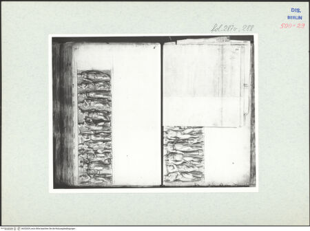 Vorderseite von bh332629_recto