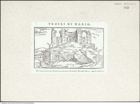 Vorderseite von bh332786_recto