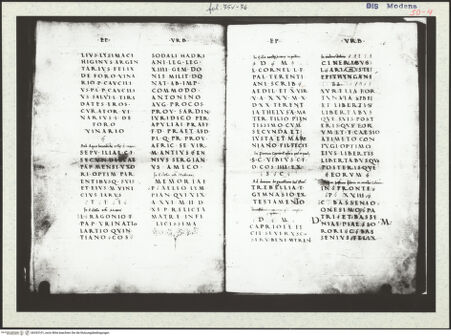 Vorderseite von bh333101_recto