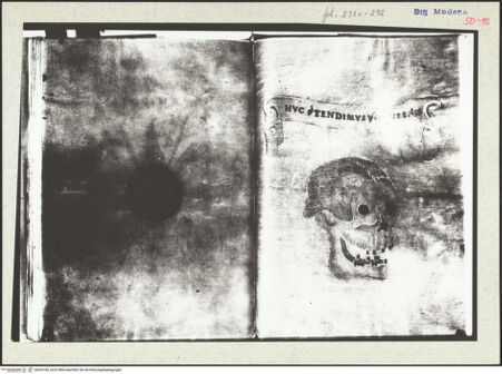 Vorderseite von bh333186_recto