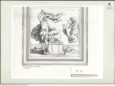 Vorderseite von bh333206_recto