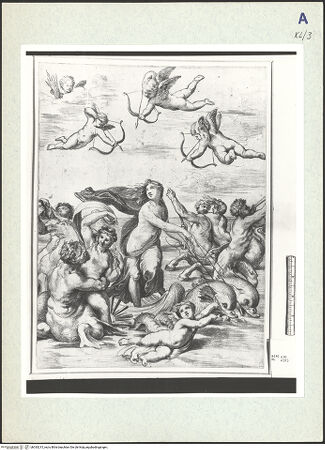 Vorderseite von bh333215_recto