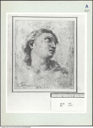 Vorderseite von bh333218_recto