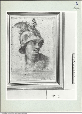 Vorderseite von bh333220_recto