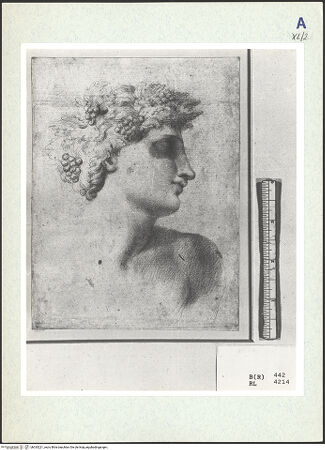 Vorderseite von bh333221_recto